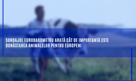 Sondajul Eurobarometru arată cât de importantă este bunăstarea animalelor pentru europeni