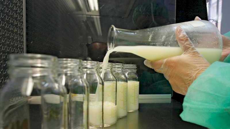 Spitalul Príncipe de Asturias organizează a VII-a Întâlnire a donatorilor și primitorilor de lapte matern