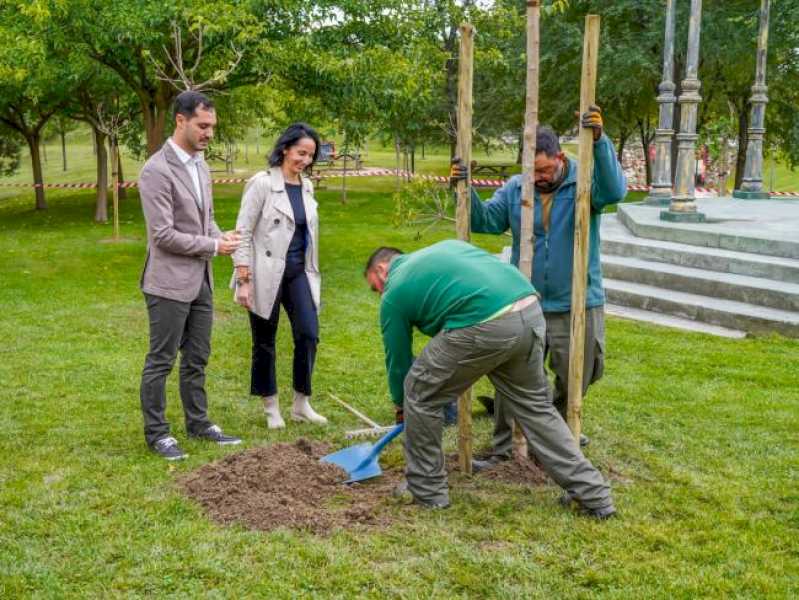 Torrejón – Cu ocazia Zilei de Luptă împotriva Schimbărilor Climatice, Consiliul Local a plantat noi copaci pentru a continua reîmpădurirea T…