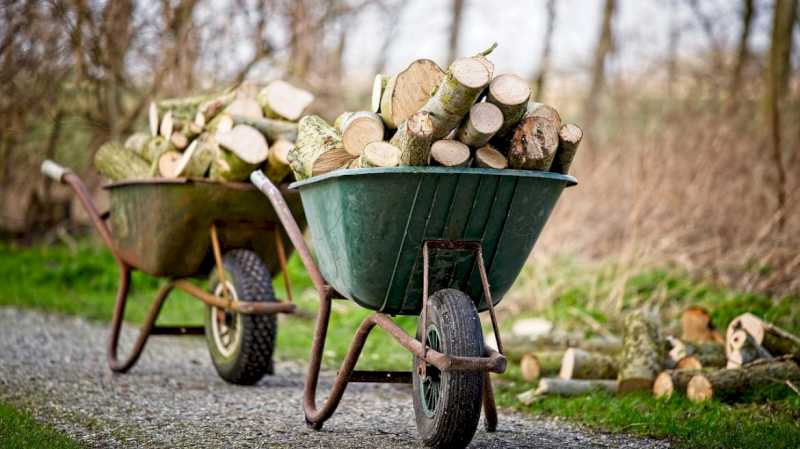 Comunitatea Madrid pregătește recomandări pentru tăierea și tăierea lemnului și a lemnului de foc în păduri de uz casnic