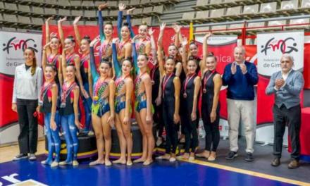 Torrejón – Cele mai bune gimnaste din Comunitatea Madrid s-au întâlnit ieri, duminică, la Torrejón de Ardoz în Campionatul Autonom de…
