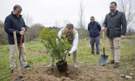 Comunitatea Madrid plantează al 150.000-lea copac al coridorului de mediu Arco Verde