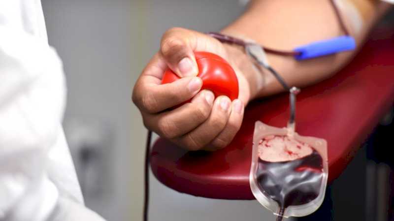 Comunitatea Madrid sărbătorește un maraton de donații la Centrul de Transfuzii pentru a garanta rezervele de sânge de Crăciun