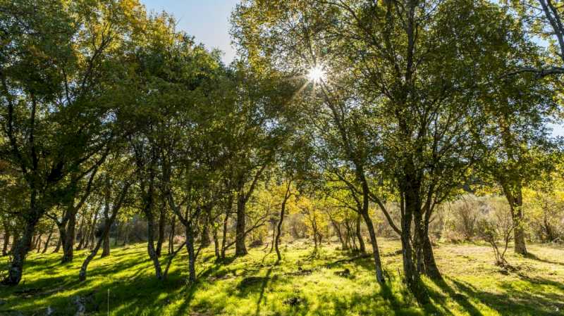 Comunitatea Madrid își expune spațiile naturale mari la FITUR