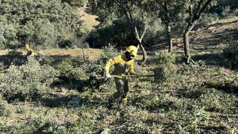 Comunitatea Madrid desfășoară 25 de puncte de control forestier și peste 300 de militari pentru a preveni incendiile