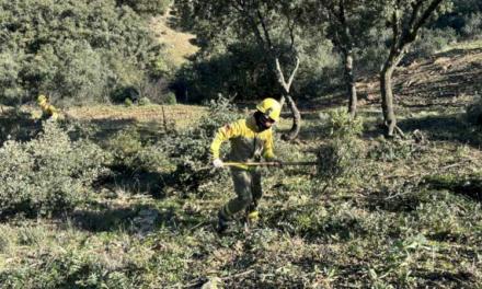 Comunitatea Madrid desfășoară 25 de puncte de control forestier și peste 300 de militari pentru a preveni incendiile