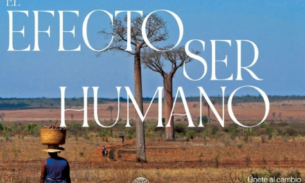 Arganda – Manos Unidas și „The Human Being Effect”: vino la gala de solidaritate |  Consiliul Local Arganda