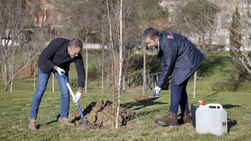 Comunitatea Madrid a plantat deja aproape 2.700 de copaci în opt municipalități pentru a crește masa pădurii și biodiversitatea