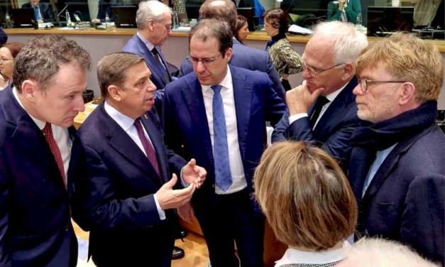 Spania apreciază progresul Consiliului de Miniștri al UE pentru a răspunde la simplificarea și flexibilitatea cerute de sectorul agricol