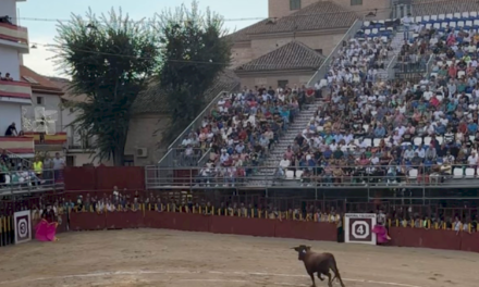 Arganda – Târgul Novilladas menține un nivel de categorie de animale