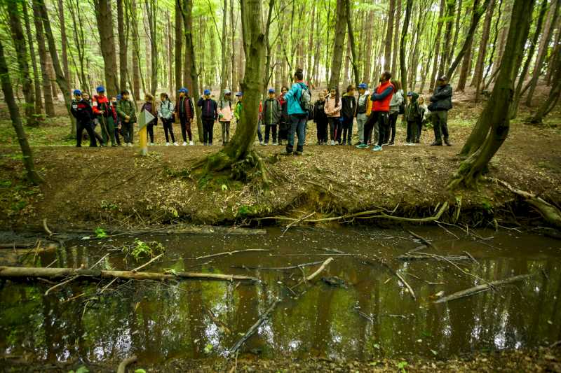 Pădurea-parc Făget – Plămânul verde al Clujului, printre câștigătorii premiilor New European Bauhaus din 2024