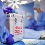 Spania atinge un nou record: 48 de transplanturi de organe în 24 de ore