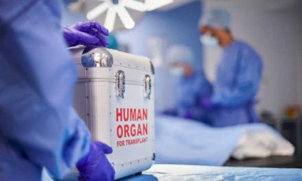 Spania atinge un nou record: 48 de transplanturi de organe în 24 de ore