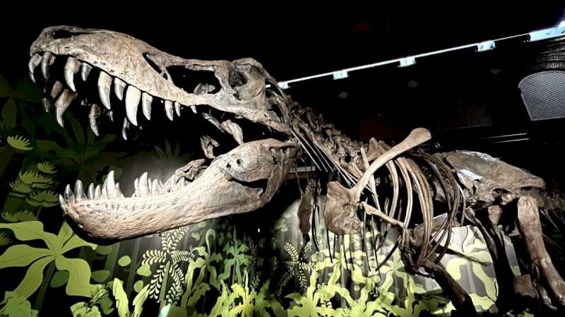 Comunitatea Madrid vă invită să aflați despre istoria dinozaurilor în cadrul expoziției Vânători de Dragoni