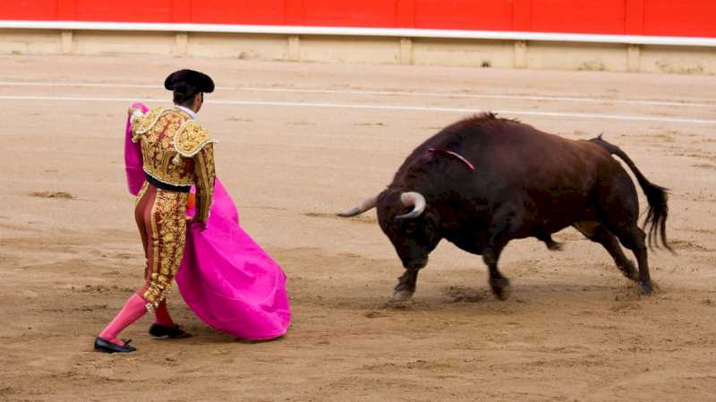 Comunitatea Madrid pregătește un nou regulament luptei cu tauri pentru a extinde catalogul spectacolelor populare