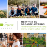 Sărbătorirea celui mai bun sector ecologic din Europa: Candidați pentru a câștiga premiul 2024
