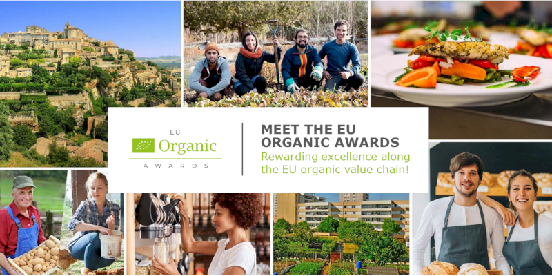 Sărbătorirea celui mai bun sector ecologic din Europa: Candidați pentru a câștiga premiul 2024