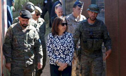 Ministrul Apărării participă la antrenamentele soldaților ucraineni la Toledo