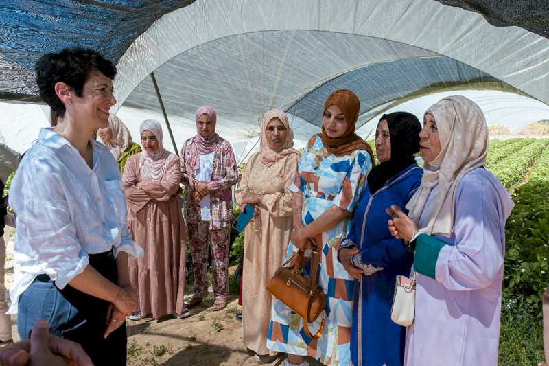 Elma Saiz le întâlnește pe femeile marocane care lucrează în colecția de fructe roșii și primesc pregătire în antreprenoriat