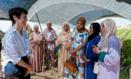 Elma Saiz le întâlnește pe femeile marocane care lucrează în colecția de fructe roșii și primesc pregătire în antreprenoriat