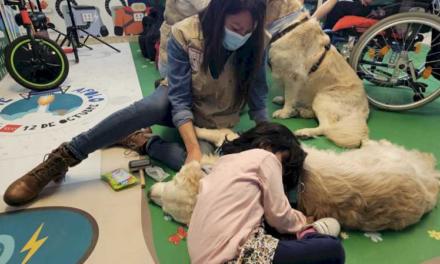 Spitalul 12 de Octubre extinde intervențiile asistate de câini la copiii cu tumori cerebrale pentru a le promova reabilitarea cognitivă