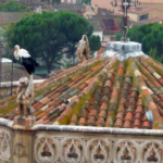 Comunitatea Madrid aprobă 2 milioane de euro pentru conservarea și restaurarea patrimoniului istoric