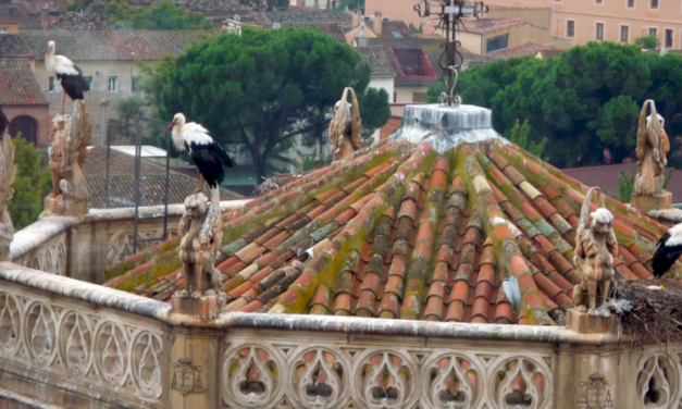 Comunitatea Madrid aprobă 2 milioane de euro pentru conservarea și restaurarea patrimoniului istoric