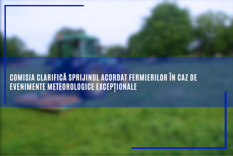 Comisia clarifică sprijinul acordat fermierilor în caz de evenimente meteorologice excepționale