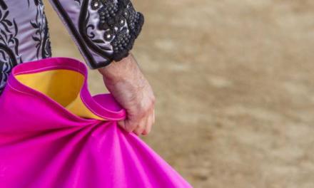 La Comunidad de Madrid aprueba 1,7 millones de euros para la Fiesta del Toro 2025