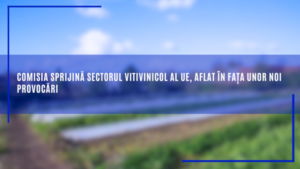 comisia-sprijina-sectorul-vitivinicol-al-ue,-aflat-in-fata-unor-noi-provocari