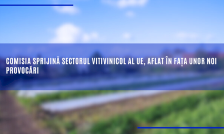 Comisia sprijină sectorul vitivinicol al UE, aflat în fața unor noi provocări