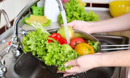 La Comunidad de Madrid estudia el impacto real de las dietas vegetales en la salud intestinal