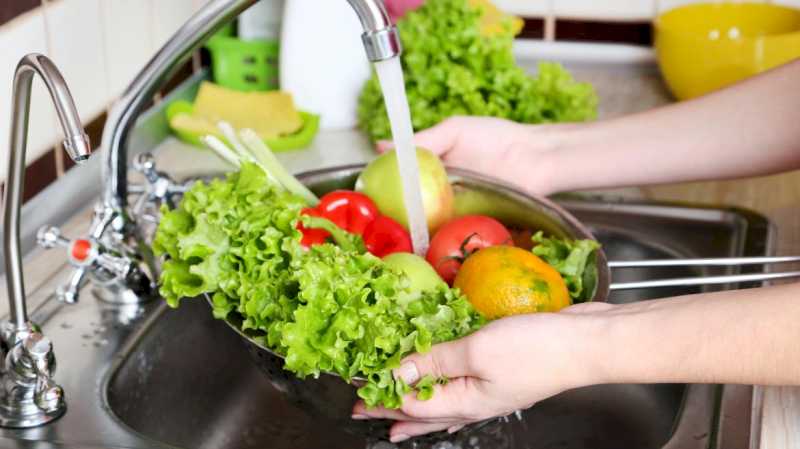 La Comunidad de Madrid estudia el impacto real de las dietas vegetales en la salud intestinal
