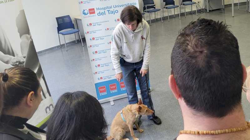 El Hospital público del Tajo realiza sesiones de mascoterapia para personas vulnerables